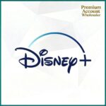 Disney Plus Private